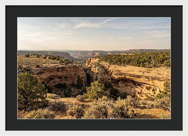 Mesa Verde Serenity