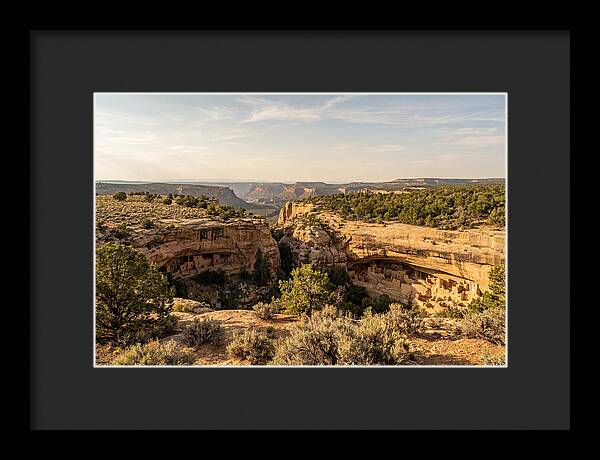 Mesa Verde Serenity