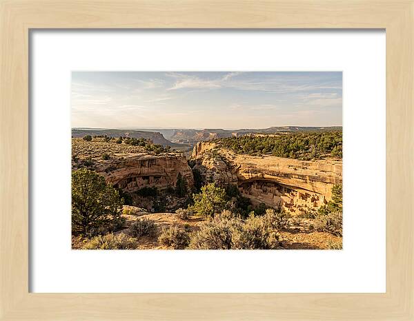 Mesa Verde Serenity