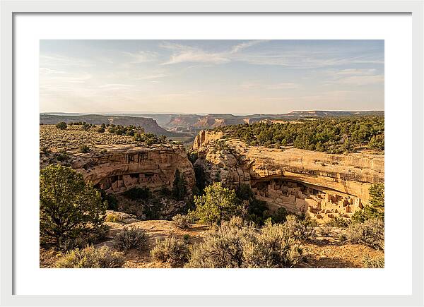 Mesa Verde Serenity