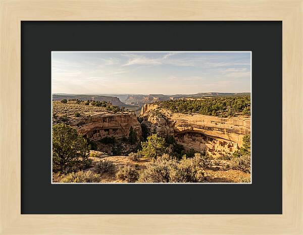 Mesa Verde Serenity