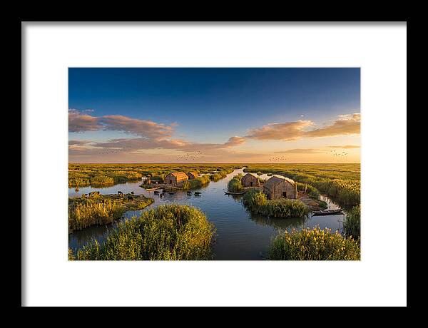 Mesopotamian Marshlands At Golden Hour