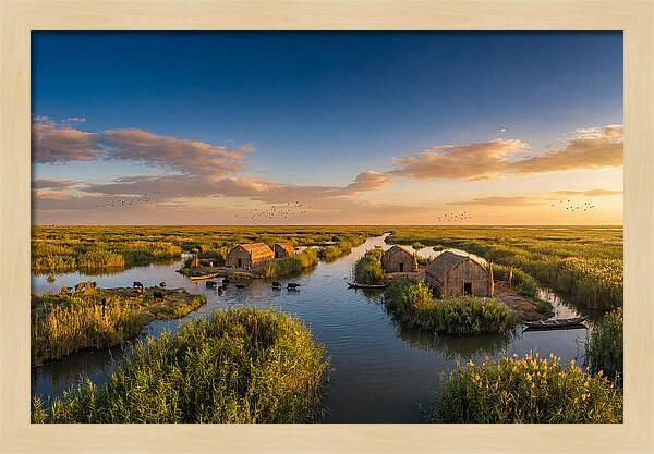 Mesopotamian Marshlands At Golden Hour