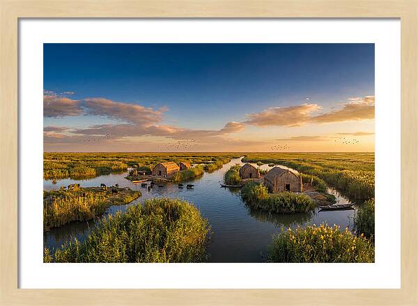 Mesopotamian Marshlands At Golden Hour