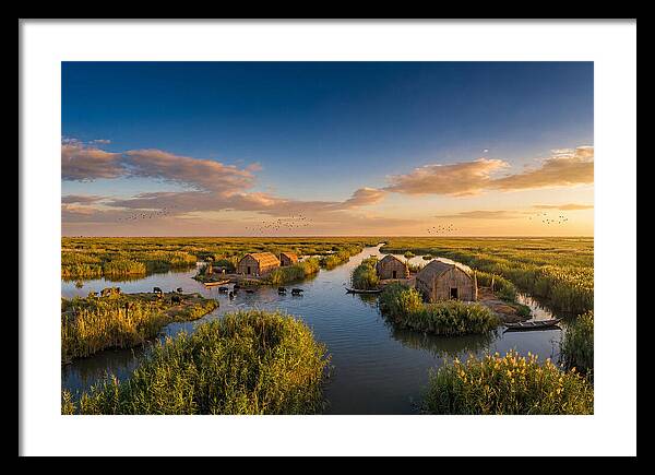 Mesopotamian Marshlands At Golden Hour