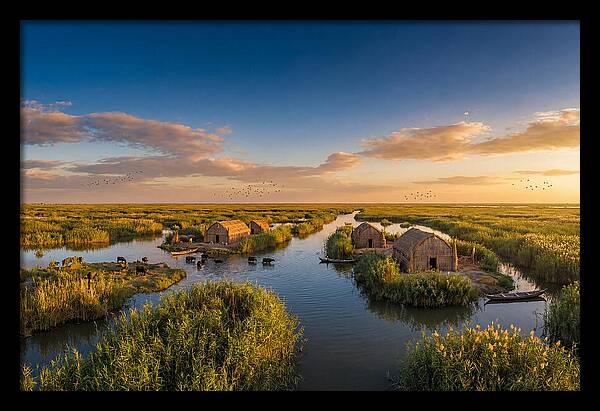 Mesopotamian Marshlands At Golden Hour