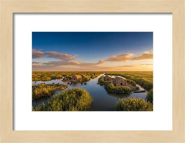 Mesopotamian Marshlands At Golden Hour