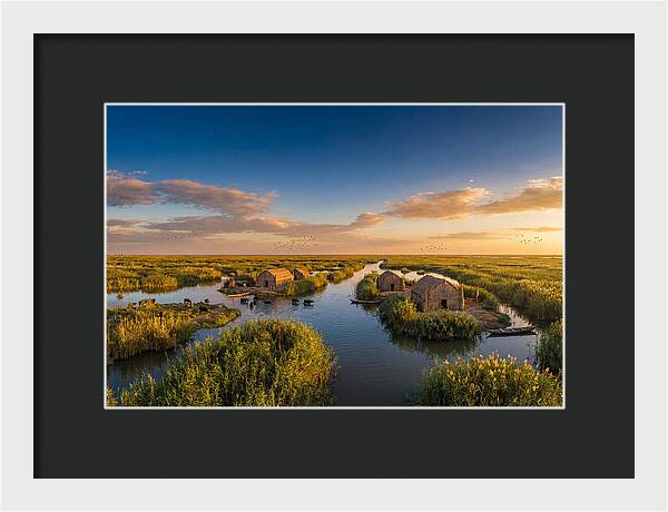 Mesopotamian Marshlands At Golden Hour