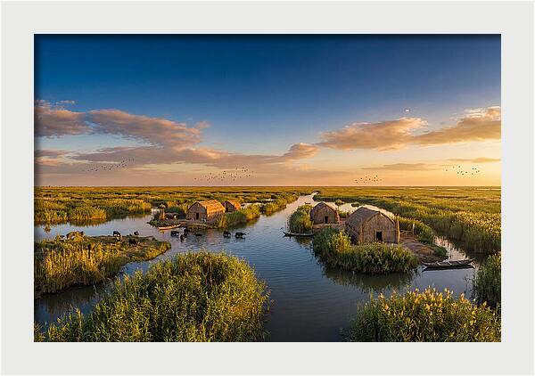 Mesopotamian Marshlands At Golden Hour