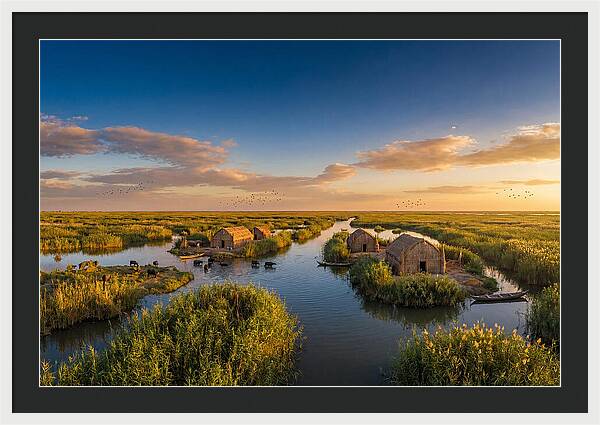 Mesopotamian Marshlands At Golden Hour