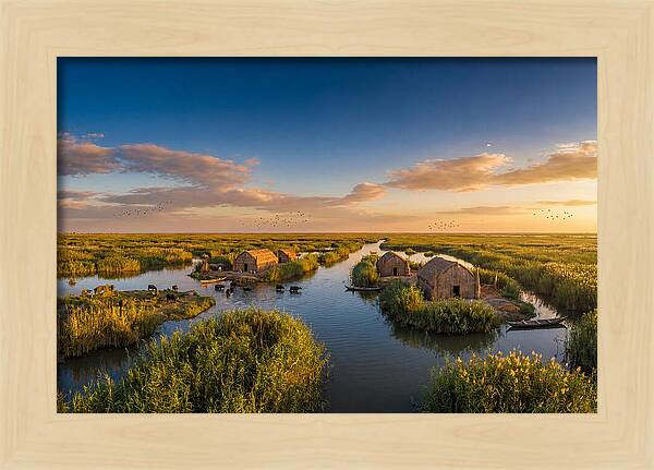 Mesopotamian Marshlands At Golden Hour