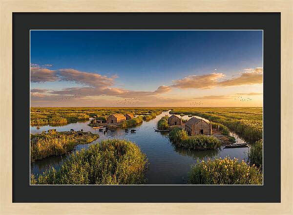 Mesopotamian Marshlands At Golden Hour