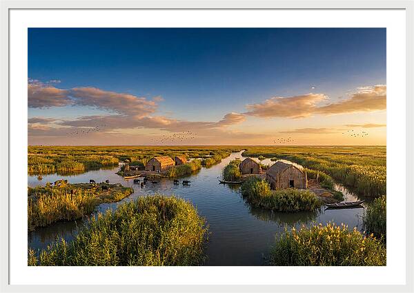 Mesopotamian Marshlands At Golden Hour