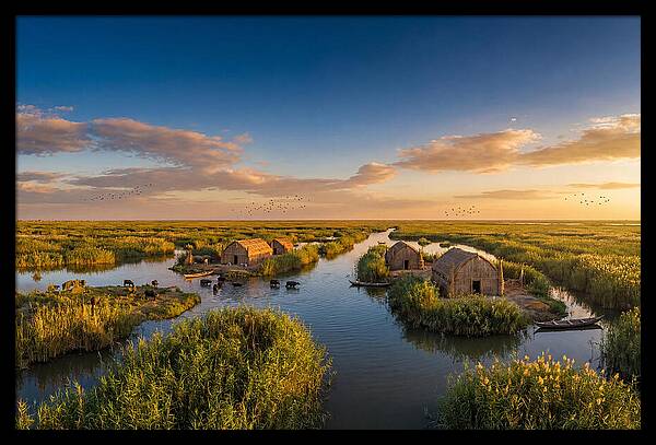 Mesopotamian Marshlands At Golden Hour