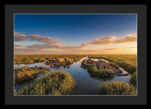 Mesopotamian Marshlands At Golden Hour