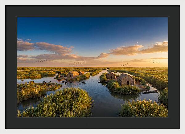 Mesopotamian Marshlands At Golden Hour