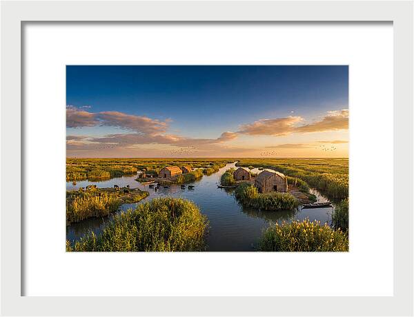 Mesopotamian Marshlands At Golden Hour