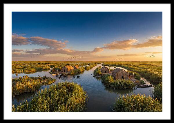 Mesopotamian Marshlands At Golden Hour