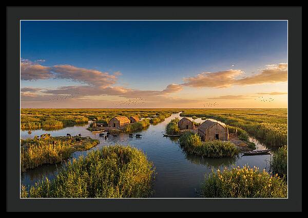 Mesopotamian Marshlands At Golden Hour