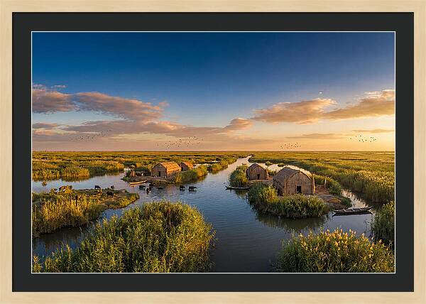 Mesopotamian Marshlands At Golden Hour