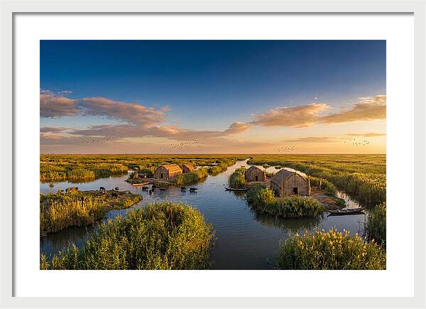 Mesopotamian Marshlands At Golden Hour