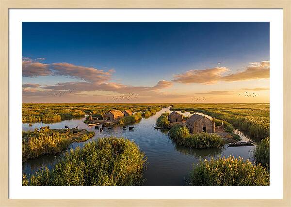 Mesopotamian Marshlands At Golden Hour