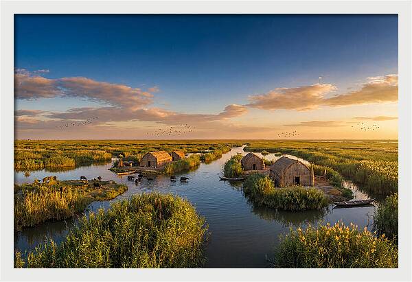 Mesopotamian Marshlands At Golden Hour