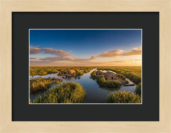 Mesopotamian Marshlands At Golden Hour