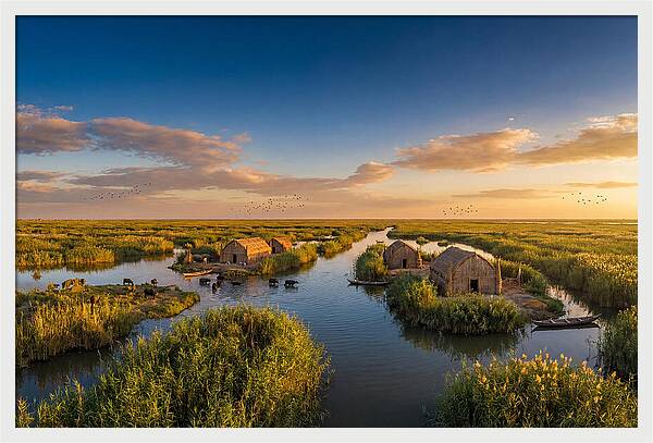 Mesopotamian Marshlands At Golden Hour