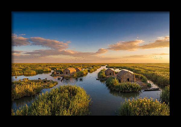 Mesopotamian Marshlands At Golden Hour