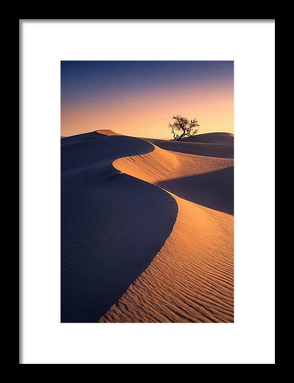 Mesquite Flat Sand Dunes At Sunrise