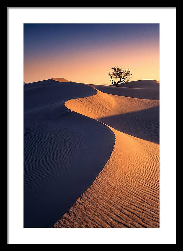 Mesquite Flat Sand Dunes At Sunrise