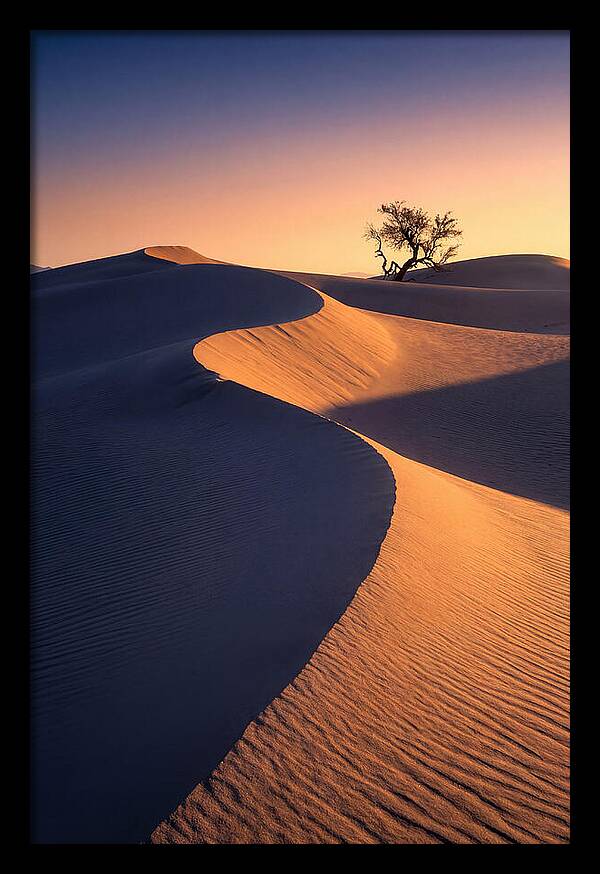 Mesquite Flat Sand Dunes At Sunrise
