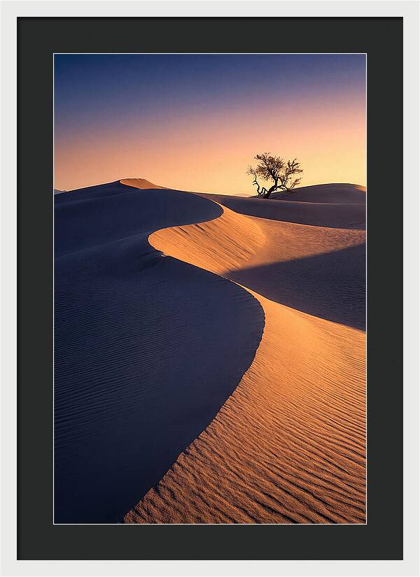 Mesquite Flat Sand Dunes At Sunrise