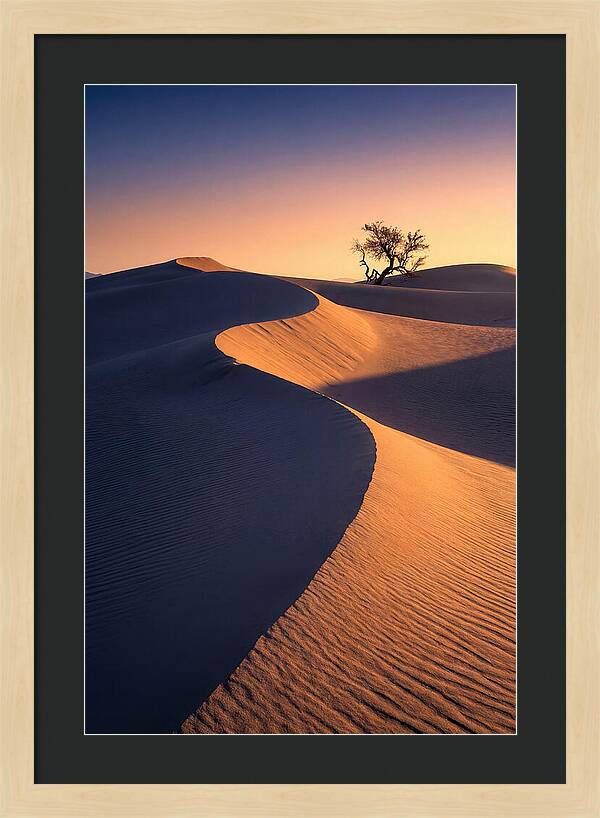 Mesquite Flat Sand Dunes At Sunrise