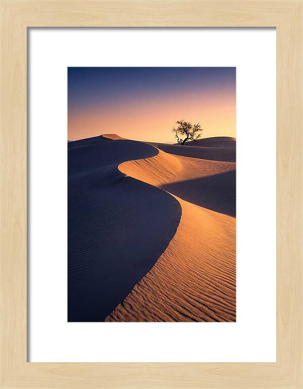 Mesquite Flat Sand Dunes At Sunrise