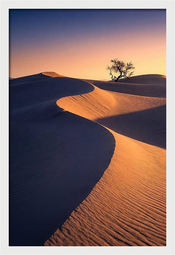 Mesquite Flat Sand Dunes At Sunrise