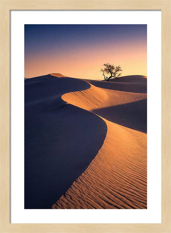 Mesquite Flat Sand Dunes At Sunrise