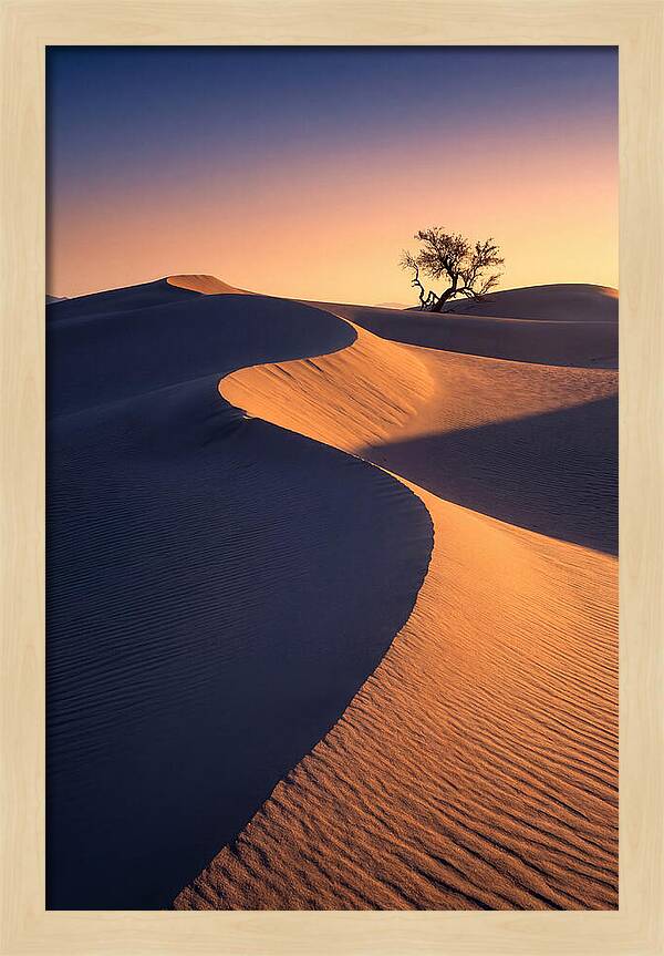 Mesquite Flat Sand Dunes At Sunrise