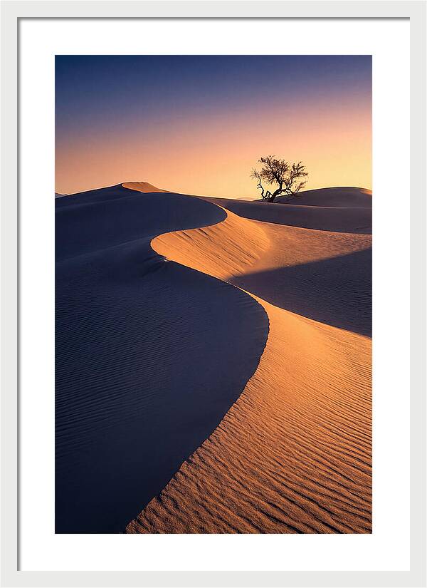 Mesquite Flat Sand Dunes At Sunrise