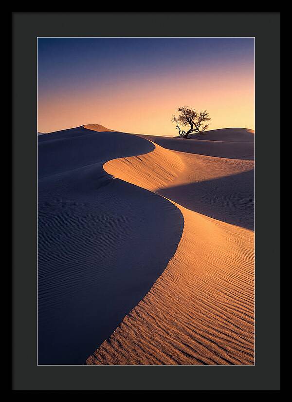 Mesquite Flat Sand Dunes At Sunrise
