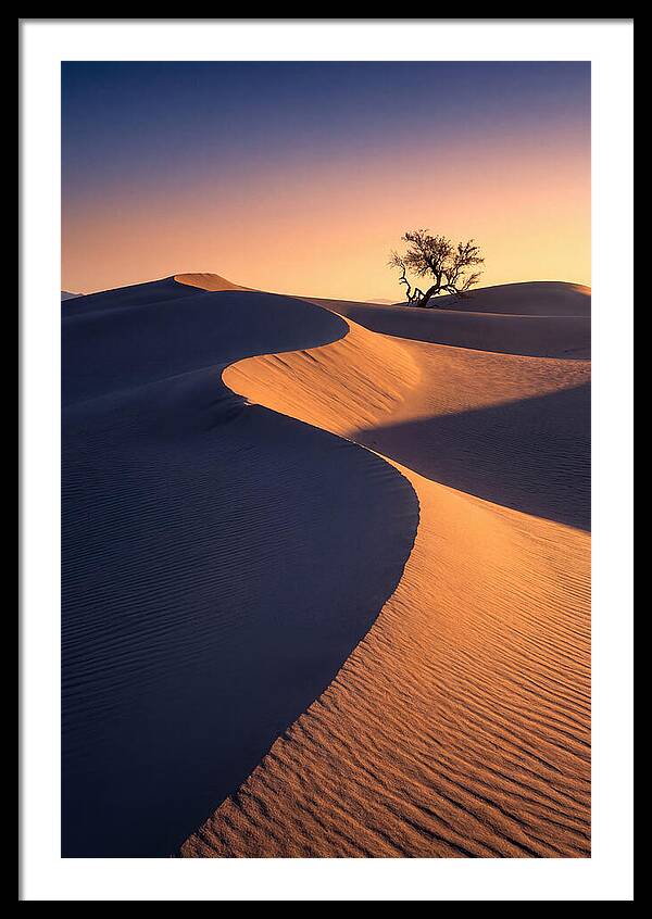 Mesquite Flat Sand Dunes At Sunrise
