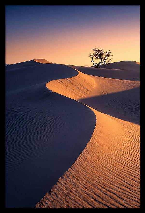 Mesquite Flat Sand Dunes At Sunrise