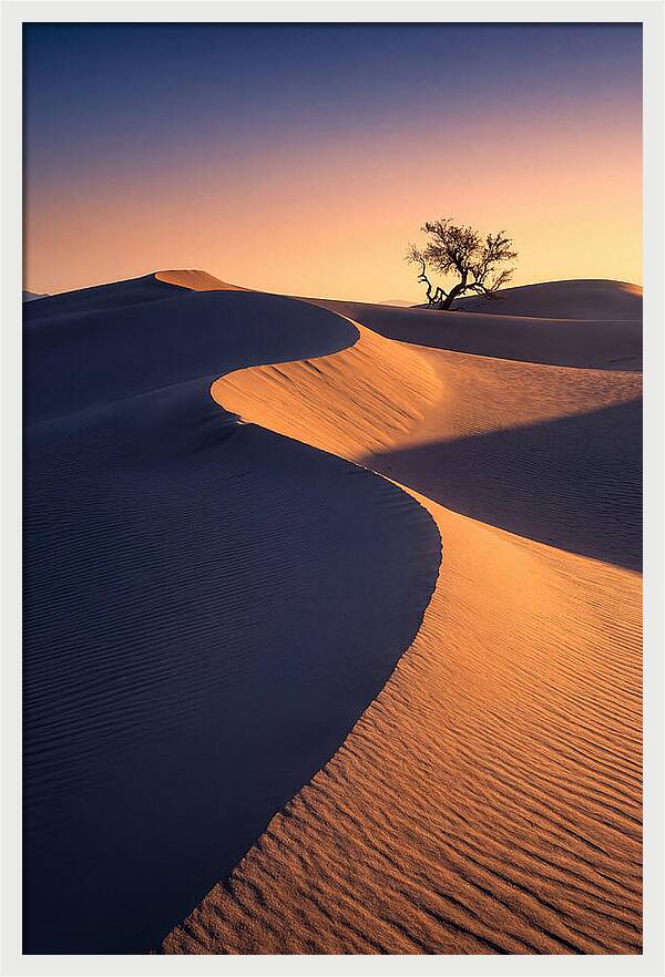 Mesquite Flat Sand Dunes At Sunrise