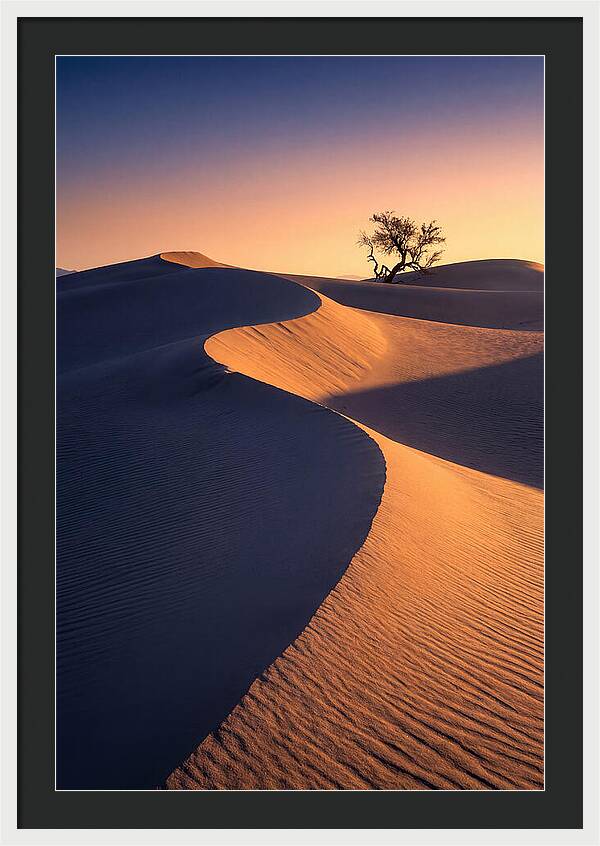 Mesquite Flat Sand Dunes At Sunrise