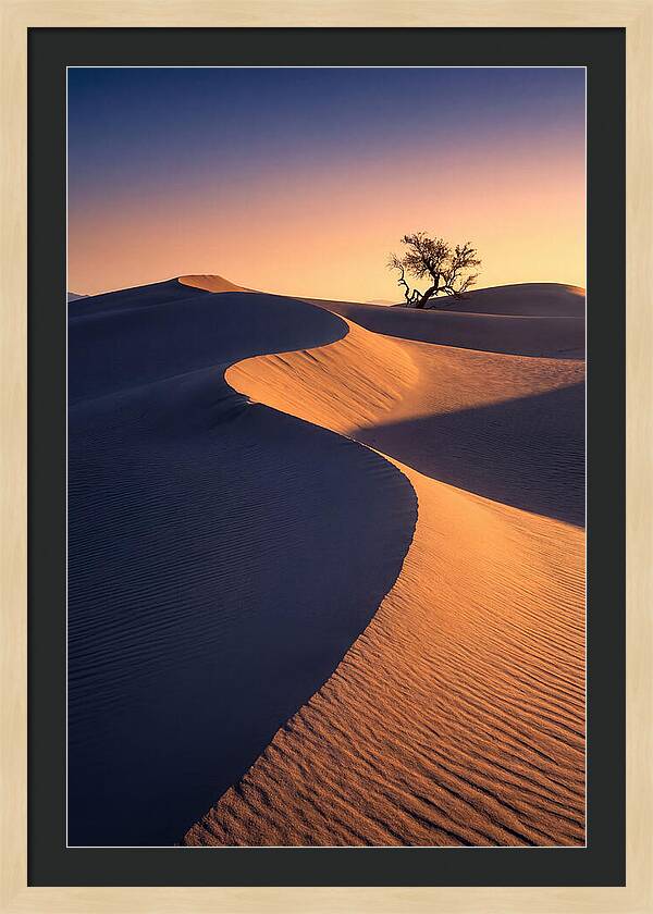 Mesquite Flat Sand Dunes At Sunrise