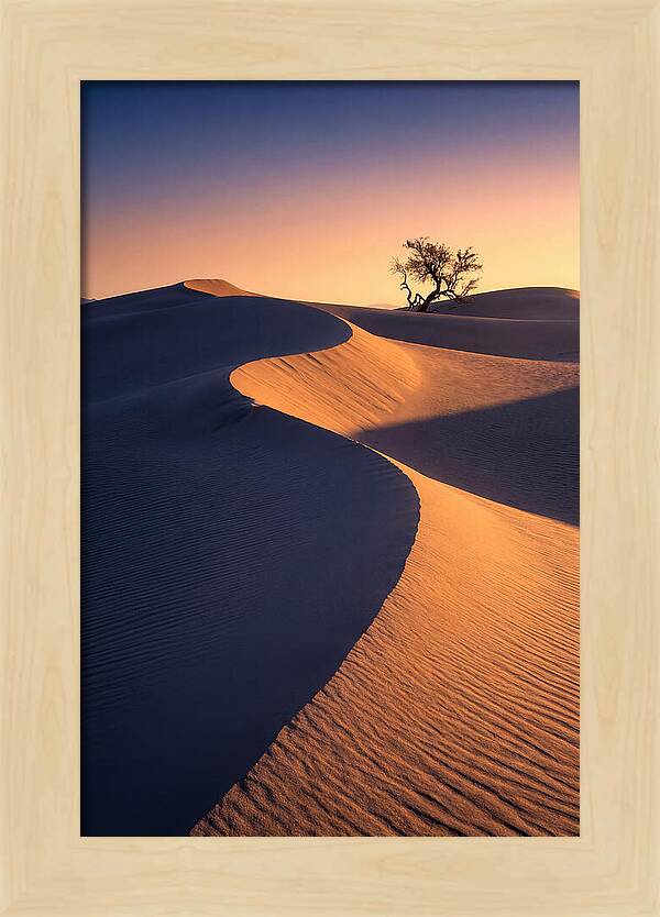 Mesquite Flat Sand Dunes At Sunrise