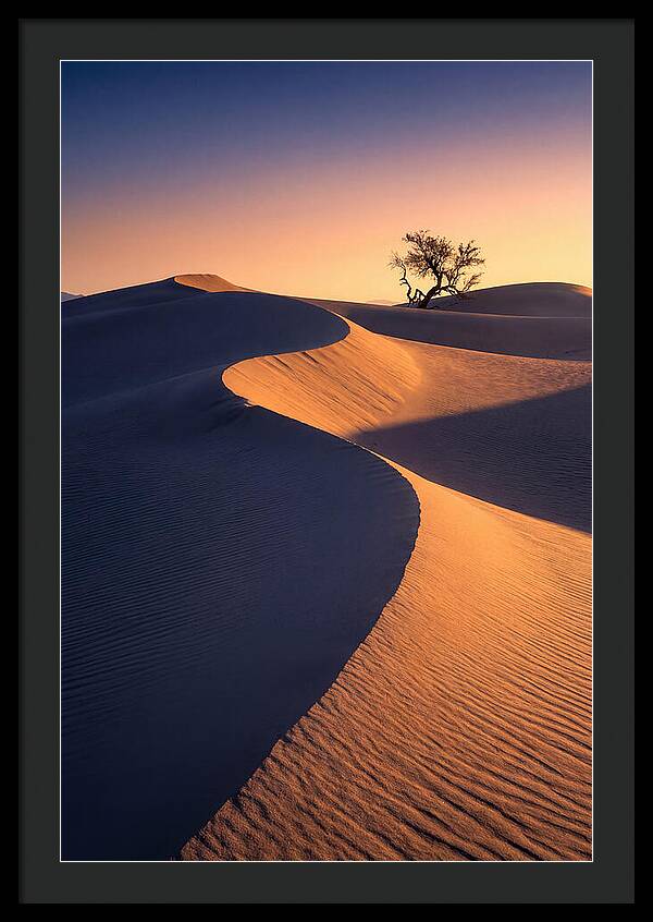 Mesquite Flat Sand Dunes At Sunrise