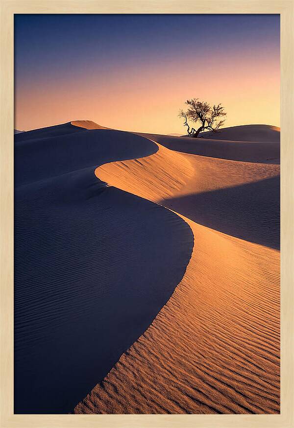 Mesquite Flat Sand Dunes At Sunrise