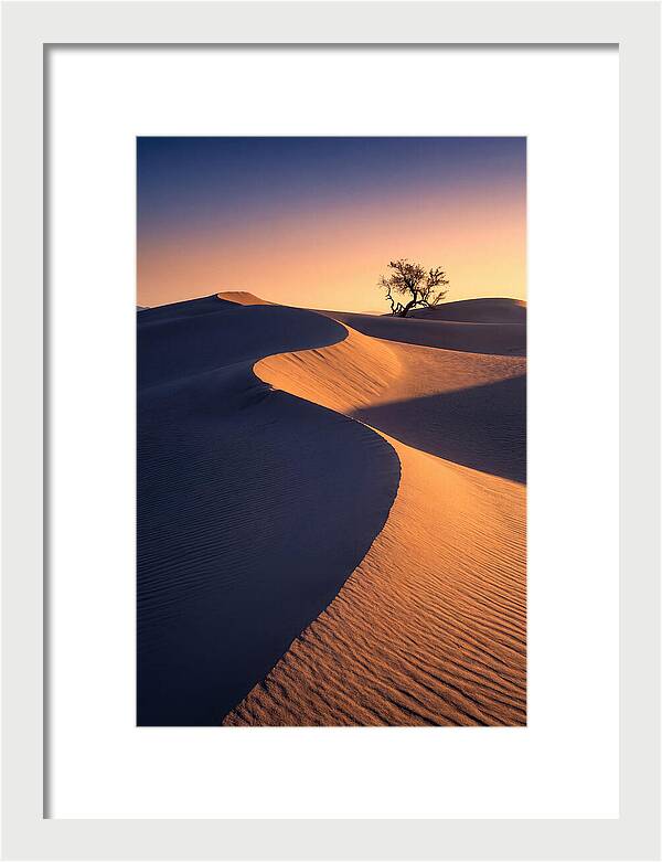 Mesquite Flat Sand Dunes At Sunrise